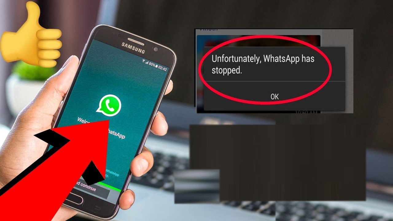 Arreglar "Desafortunadamente , WhatsApp se ha detenido" en Android